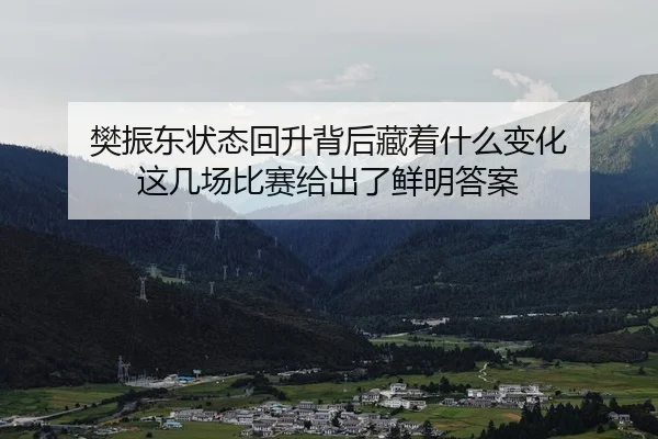 樊振东状态回升背后藏着什么变化 这几场比赛给出了鲜明答案