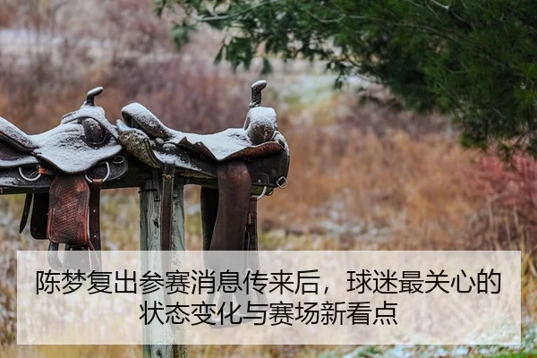 chen-meng-fu-chu-can-sai-xiao-xi-chuan-lai-hou-qiu-mi-zui-guan-xin-de-zhuang-tai-bian-hua-yu-sai-chang-xin-kan-dian-2-518.jpg