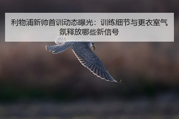 li-wu-pu-xin-shuai-shou-xun-dong-tai-bao-guang-xun-lian-xi-jie-yu-geng-yi-shi-qi-fen-shi-fang-na-xie-xin-xin-hao-2-591.jpg